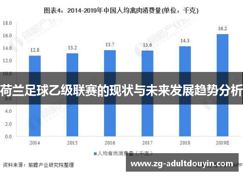 荷兰足球乙级联赛的现状与未来发展趋势分析